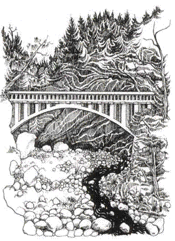 Home Page Image